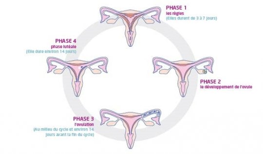La journée mondiale de l’hygiène menstruelle : Brisons les tabous !