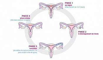 La journée mondiale de l’hygiène menstruelle : Brisons les tabous !